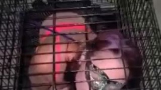 Master caged his tiny
