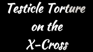 Restrained Upside Down Dungeon Ballbusting on the St Andrews Cross, BDSM CBT Testicle Slave Trailer